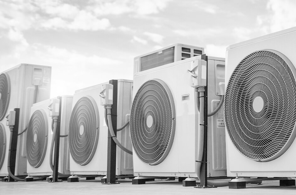 translation not found